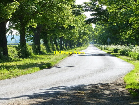 Photo 6"x4" Belvoir Road near Brewer's Grave Woolsthorpe By Belvoir c2014