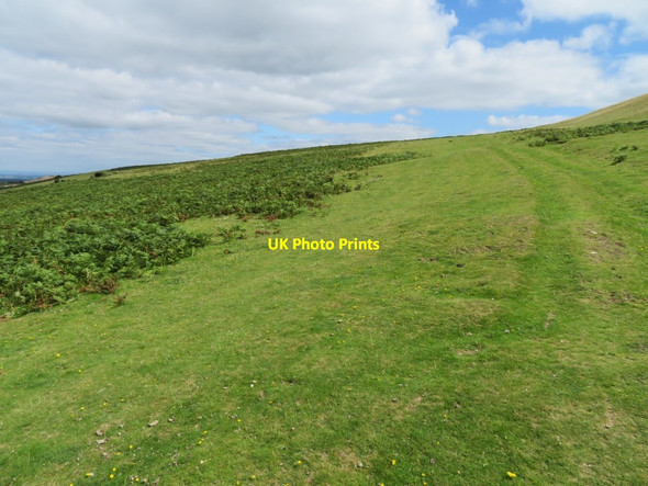 Photo 6"x4" Farm track - Longstone Hill Meldon\/SX5592 c2016