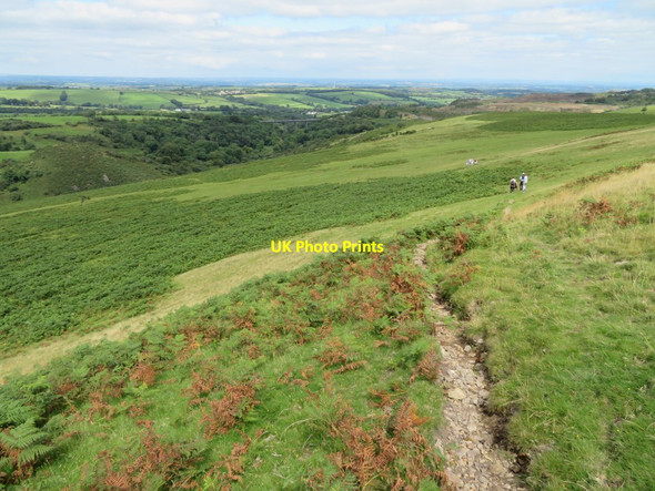 Photo 6"x4" Path on Longstone Hill Meldon\/SX5592 c2016