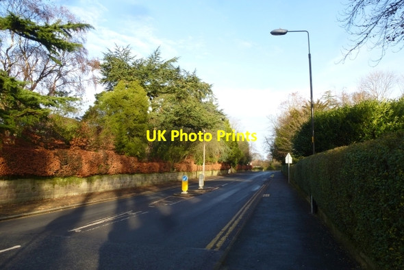 Photo 6"x4" Duchy Road Harrogate c2016