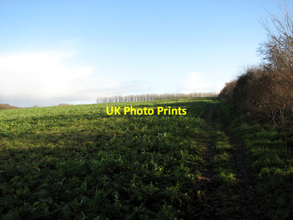 Photo 6"x4" Footpath to Claxton St Andrew's church Ashby St Mary c2017