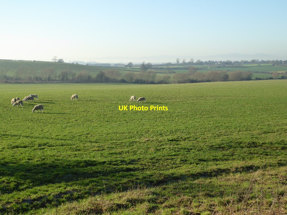 Photo 6"x4" View across farmland to Eckington Great Comberton c2016