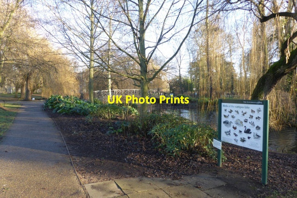 Photo 6"x4" Towards Spring Lane Bridge Heslington c2017