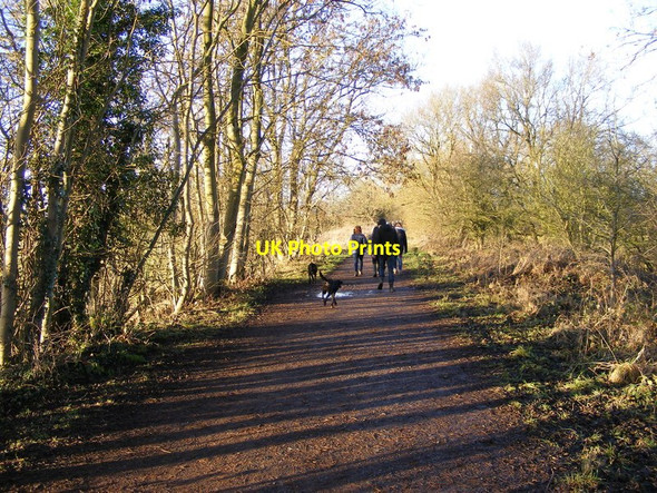 Photo 6"x4" Crowded Path Orton\/SO8695 c2017