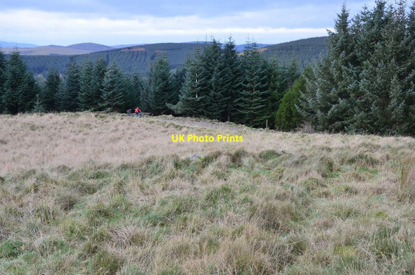 Photo 6"x4" Ancient settlement site, Glentress Forest Peebles\/NT2540 c2016