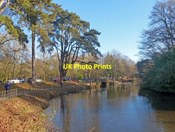 Photo 6"x4" The northern end of Roath Park Lake,Cardiff Cyncoed\/ST1880 c2017
