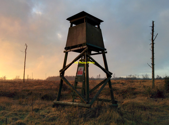 Photo 6"x4" High Seat in Dalby Forest Low Dalby c2016