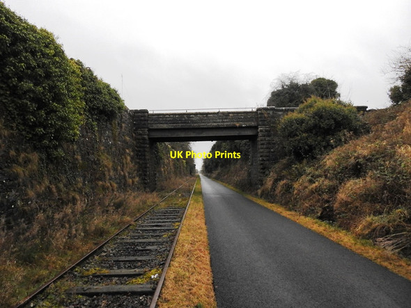 Photo 6"x4" Bridge on the Athlone to Mullingar Cycleway Dysart\/N3647 c2016