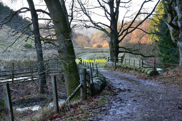 Photo 6"x4" Bridge over the Quair Water, The Glen Blairy Wood c2017
