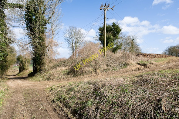Photo 6"x4" Track junctions south of Bramdean Farm Bramdean c2009