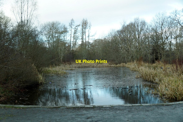 Photo 6"x4" Pond in Vogrie Country Park Dewartown c2017