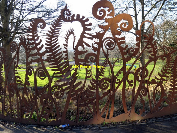 Photo 6"x4" Fern screen, Hodgkin Park Benwell c2017