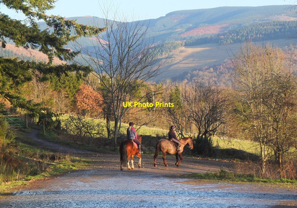 Photo 6"x4" Riders in Cademuir Forest Peebles\/NT2540 c2017