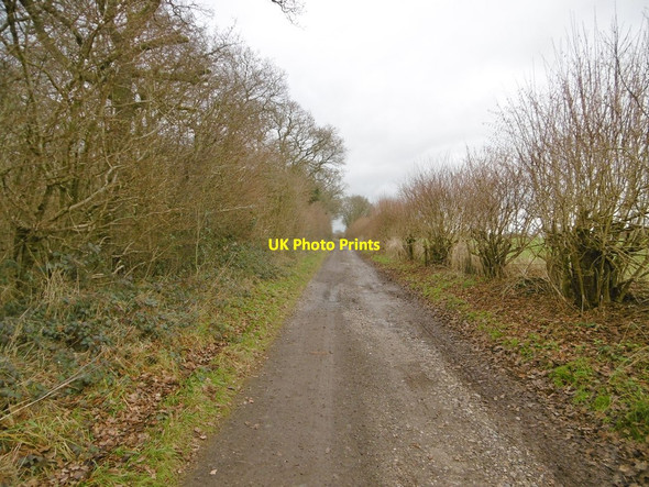 Photo 6"x4" Everleigh, former turnpike road Aughton\/SU2356 c2017