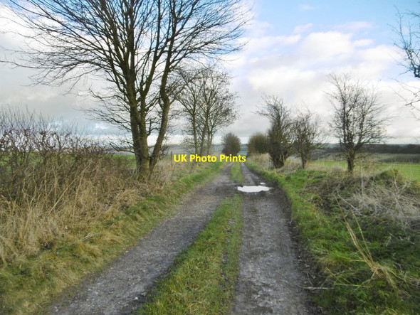 Photo 6"x4" Aughton, byway Aughton\/SU2356 c2017