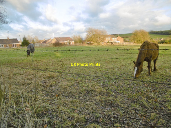 Photo 6"x4" Aughton, paddocks Aughton\/SU2356 c2017