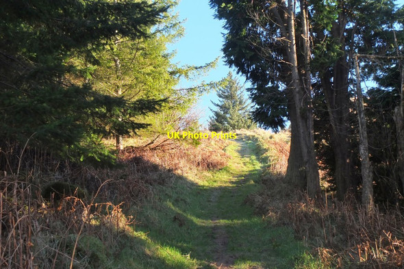 Photo 6"x4" Path on Tower Rig Mailingsland c2017