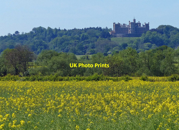 Photo 6"x4" Oil seed rape crop south of Stenwith Stenwith c2014
