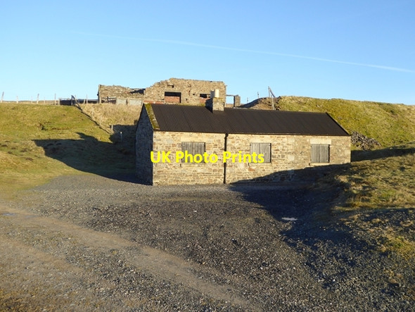 Photo 6"x4" Dubby Sike Harwood\/NY8233 c2017