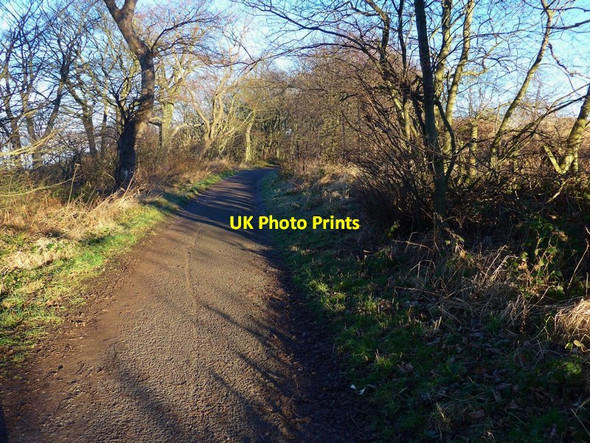 Photo 6"x4" The Queensferry to Cramond cycle track at Whitehouse Point Queensferry\/NT1278 c2017