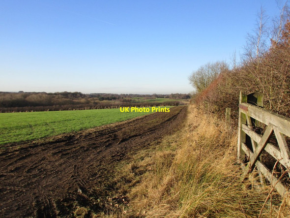 Photo 6"x4" Footpath to Walton Cold Hiendley c2017