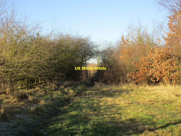 Photo 6"x4" Footpath to Crofton Crofton\/SE3817 c2017