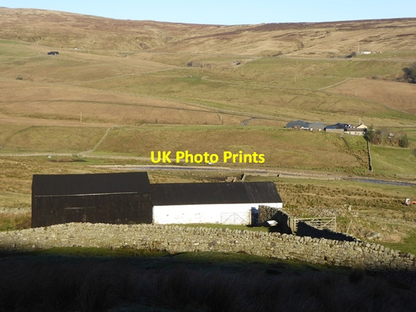 Photo 6"x4" High Stoney Comb Harwood\/NY8233 c2017