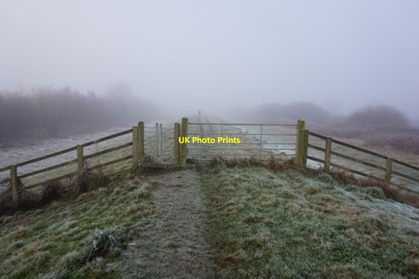 Photo 6"x4" Riverside path towards Cawood Kelfield\/SE5938 c2016