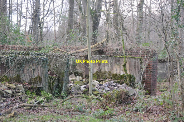 Photo 6"x4" Wellington Wood, near Dolphinholme Dolphinholme c2016