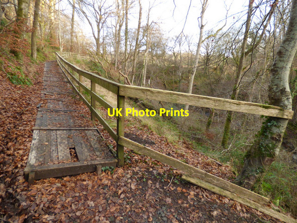 Photo 6"x4" Daff Glen footpath Inverkip c2016 P1