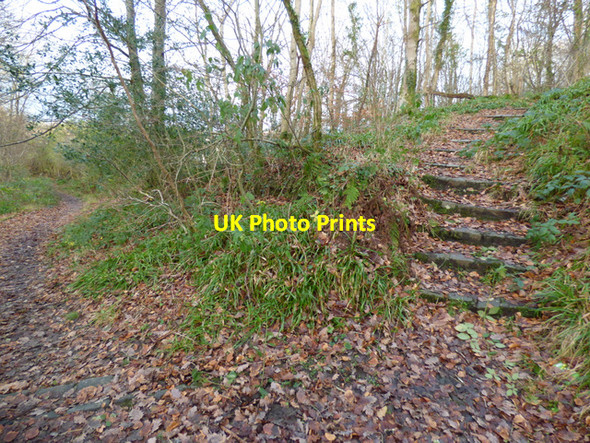 Photo 6"x4" Daff Glen footpaths Inverkip c2016