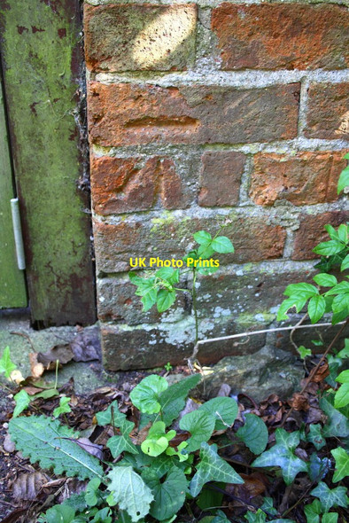 Photo 6"x4" Benchmark on 'Windmill Cottage' Little Chesterton c2016
