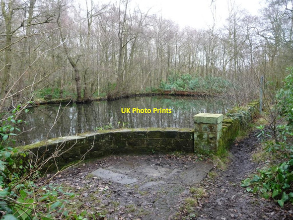 Photo 6"x4" Warner Gothard's swimming pool, Seckar Wood Newmillerdam c2017