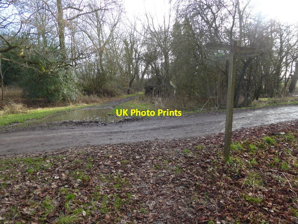 Photo 6"x4" Footpath crosses bridleway near Shermanbury Place Shermanbury c2017