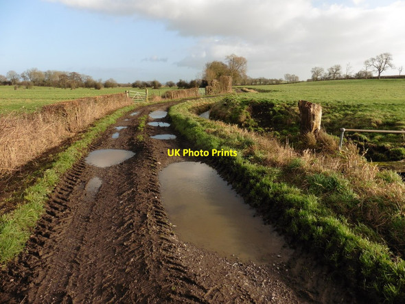 Photo 6"x4" Nidon Rhyne Drove Catcott c2017