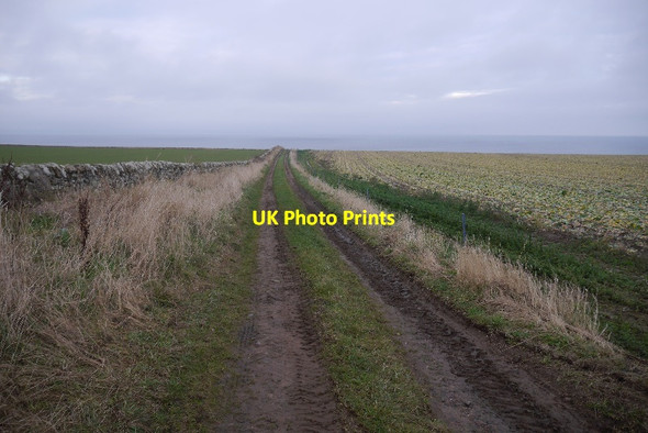 Photo 6"x4" Farm road, Chesterhill Boarhills c2017