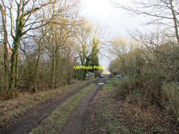 Photo 6"x4" Bull Alley Lane Carlton\/SE6424 c2017