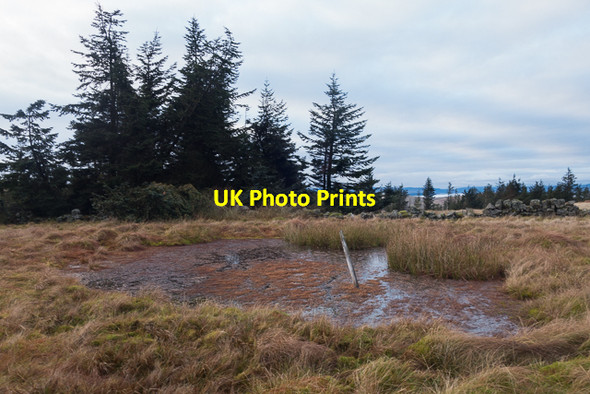 Photo 6"x4" Small pool at Bentie Knowe Bentie Knowe c2017