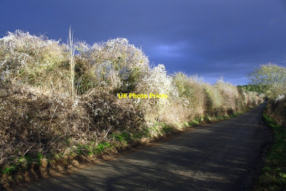 Photo 6"x4" Minor road from Asthall Leigh towards Minster Lovell Asthall Leigh c2017