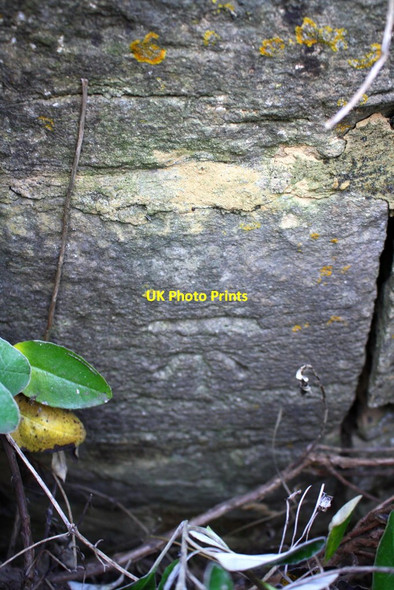 Photo 6"x4" Benchmark on 'Old Cottage' Asthall Leigh c2017