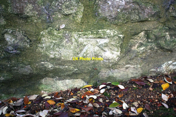 Photo 6"x4" Benchmark on 'The Valley' Asthall Leigh c2017