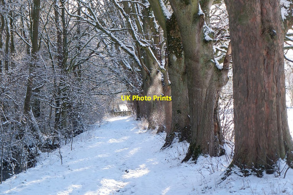 Photo 6"x4" Path by The Cut, Bonnington Peebles\/NT2540 c2017
