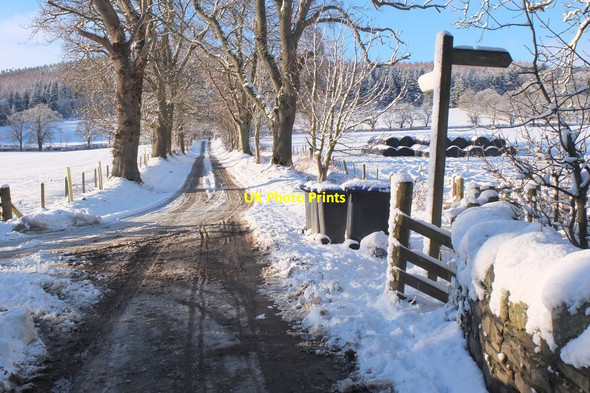 Photo 6"x4" Farm access road, Bonnington Peebles\/NT2540 c2017