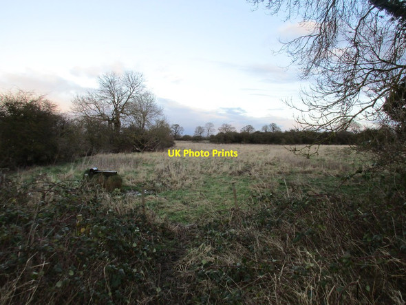 Photo 6"x4" Rough grazing below Horn Hill Cawkeld c2017