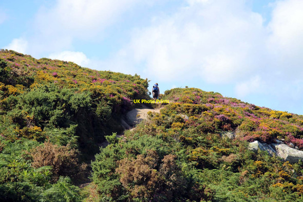 Photo 6"x4" The Wales Coast Path on Mynydd Tir-y-cwmwd Tan-y-mynydd\/SH3230 c2015