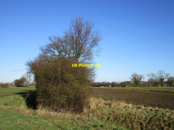 Photo 6"x4" Bend in the drain Woodhall\/SE6931 c2017