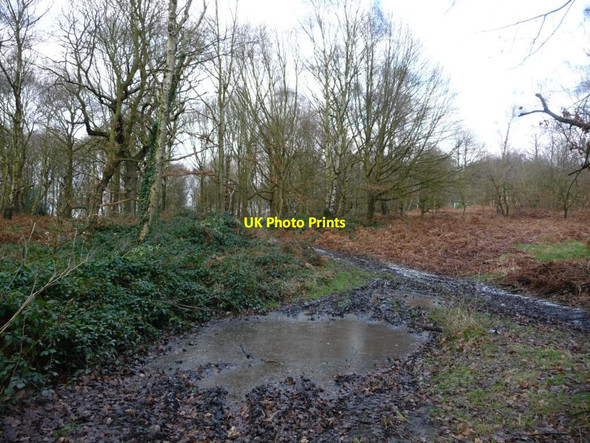 Photo 6"x4" Frozen path heading north-east, Houghton Common Grimethorpe c2017
