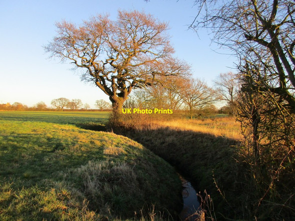 Photo 6"x4" Lowmoor Drain South Duffield c2017 P1