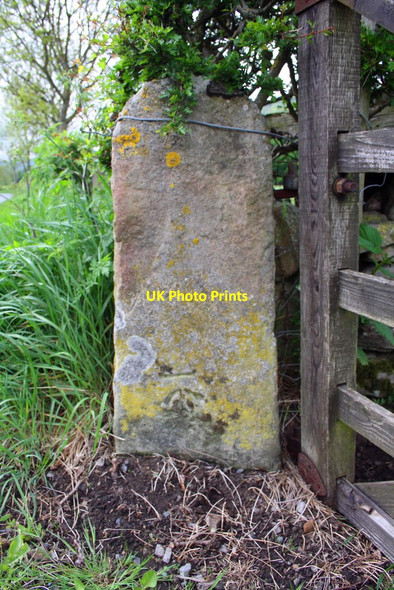Photo 6"x4" Benchmark on gatepost on north side of A6108 near Applegarth Clints\/NZ1000 c2016