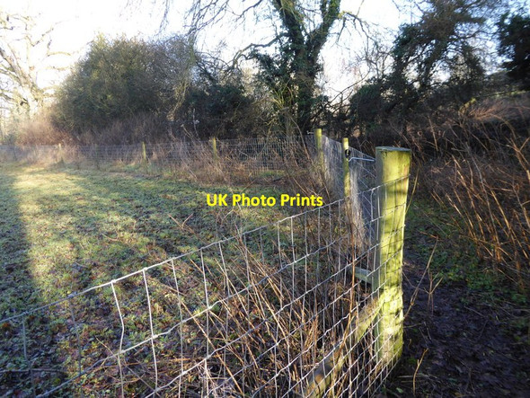 Photo 6"x4" Enclosed footpath turns corner of field near Albourne Place Albourne c2017